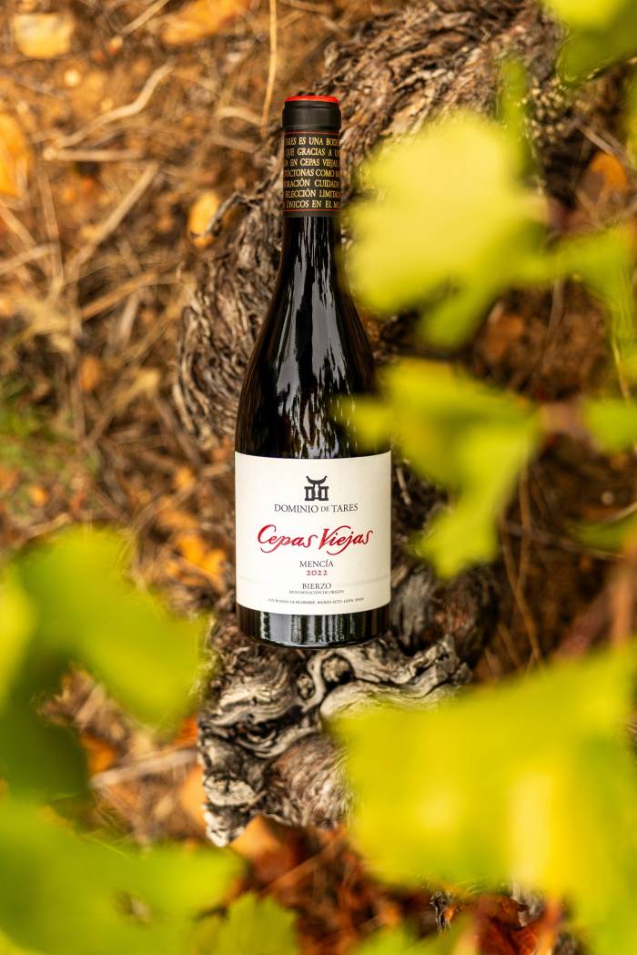 Dominio de Tares celebra 25 vendimias de Cepas Viejas y lanza la añada 2022 a 16,90 euros