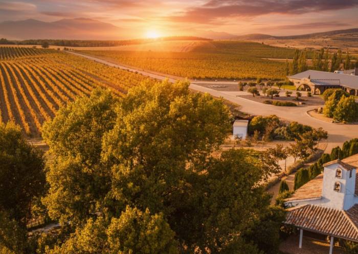 Finca Río Negro recibe el sello Vino de Pago y consolida su enoturismo a una hora de Madrid