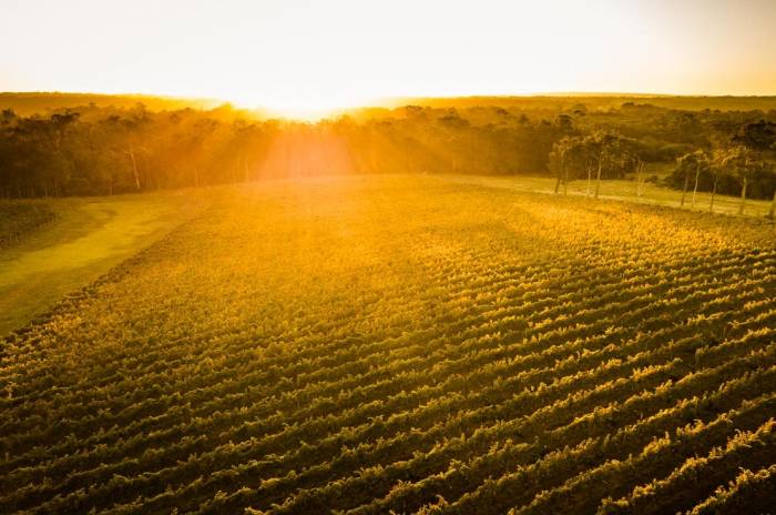 Only 6 of 18 Key Regions See Crop Gains from Climate Geoengineering, Study Finds