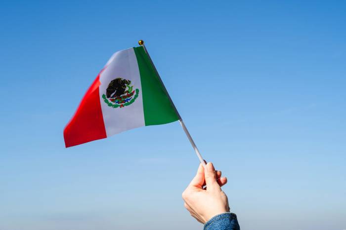 Las importaciones de vino en México caen 4 millones de litros en 2025 pero el precio medio sube un 9,8%