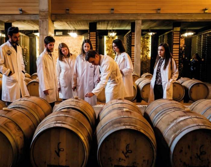 Washington State Wine Commission Opens Research Grant Portal for 2027 Funding
