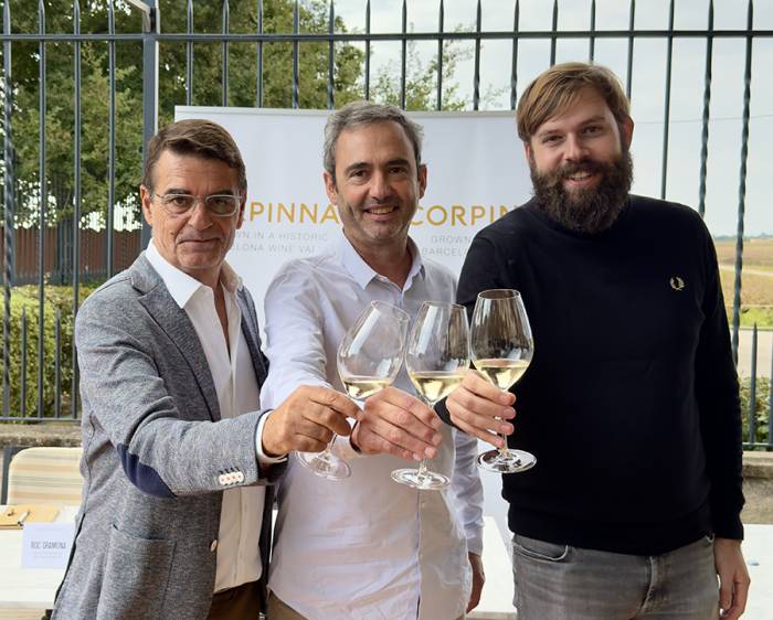 CORPINNAT incrementa un 58% sus bodegas y alcanza casi 8 millones de kilos de uva en la vendimia 2025