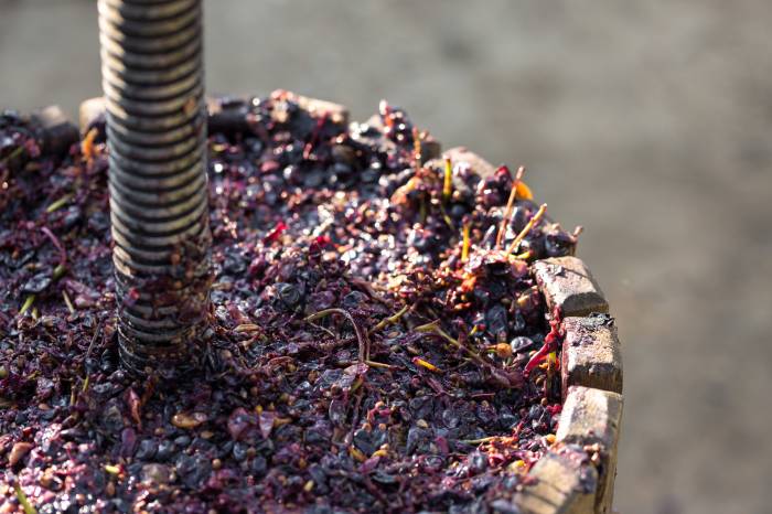 Chilean Wine Industry Waste Yields Potential $27,000-Ton Source for Biofuels and Cosmetics