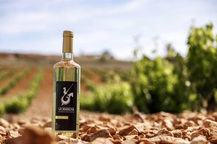 La vendimia de La Mancha cae un 20 % pero logra una calidad de uva excelente en 2025