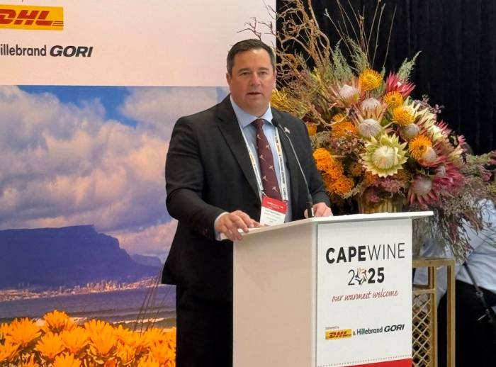 South Africa’s Wine Exports Reach 3.6% of Global Market Amid Push for Premium Recognition