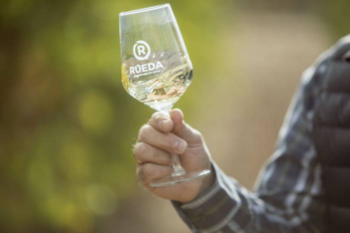 La vendimia de Rueda cae un 12,6 % pero anticipa una añada de alta calidad y perfil aromático