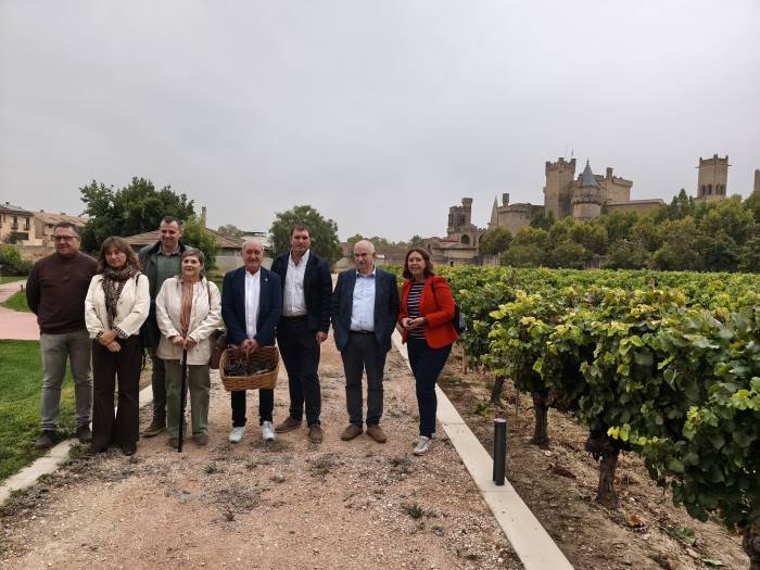 Navarra registra la menor vendimia de su historia con solo 33,7 millones de kilos de uva recogidos