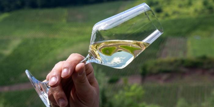 Mosel Wine Harvest Surges 53 Percent After Last Year’s Historic Low
