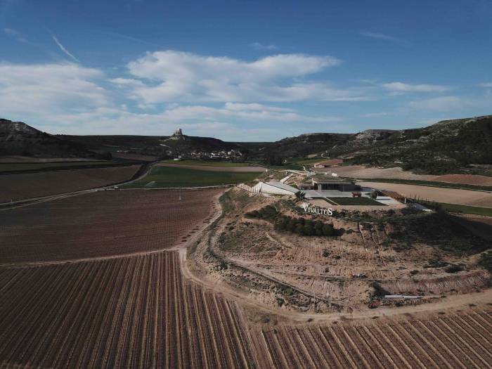 Vivaltus subasta un lote de vinos y experiencia enogastronómica tras recaudar 6.875 euros en 2022