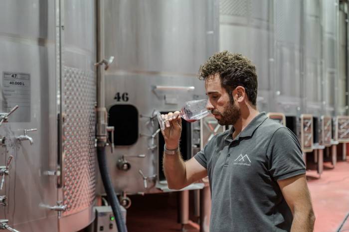 Antonio Serrano lanza dos nuevos vinos en la Ribera del Duero soriana