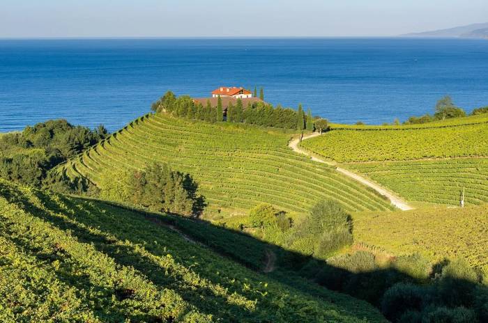 Basque Country Emerges as a Premier Destination for Food, Wine, and Culture in Northern Spain