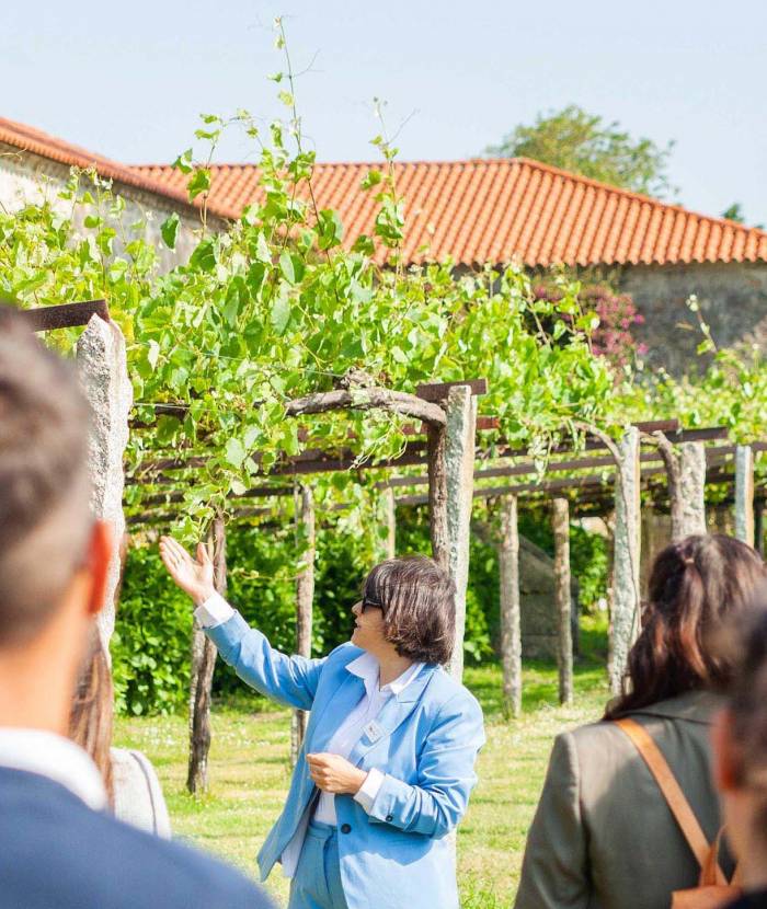 Rías Baixas recibe 155.551 visitantes y aumenta un 15,78% su impacto económico en el turismo del vino