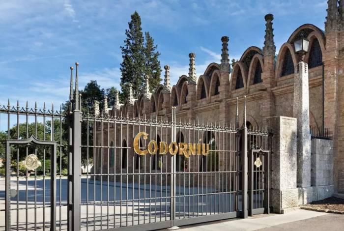 Raventós Codorníu releva a su director comercial en España tras aumentar su ebitda un 13% hasta 44 millones