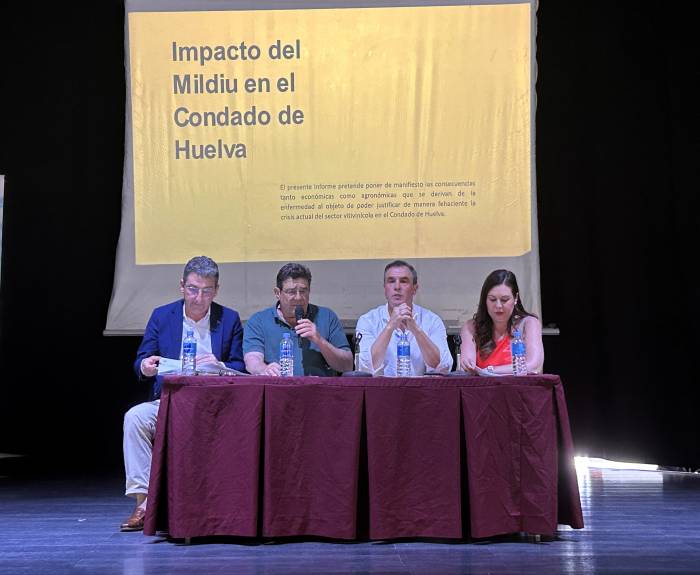 El mildiu arrasa el 60% de la cosecha de uva en el Condado de Huelva y deja 10 millones de kilos sin recoger