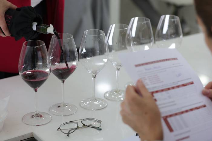 Diez expertos decidirán la calificación de la cosecha 2024 de Ribera del Duero el 27 de octubre