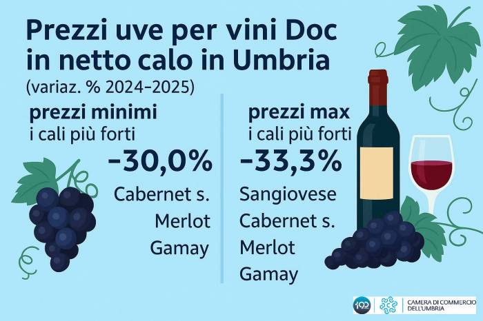 Umbrian Grape Prices Plunge Over 50 Percent in Two Years Despite Strong 2025 Harvest