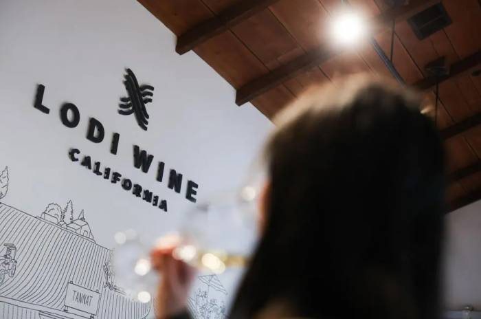 Lodi Vineyards Lose Nearly 25 Percent of Grape Production as California Faces Lowest Yields in 20 Years