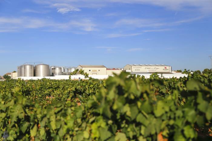 Bodegas Alcardet aumenta su facturación un 17 por ciento y alcanza los 21 millones de euros