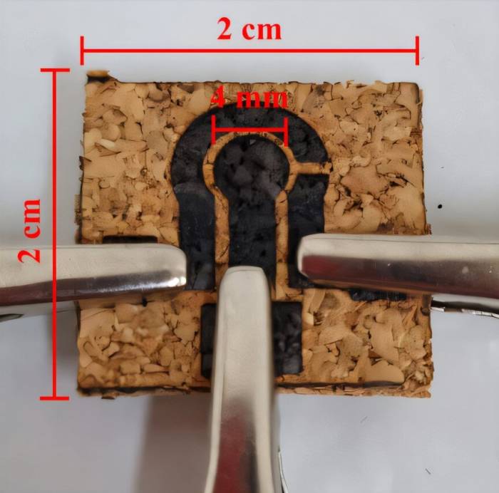 Brazilian Scientists Create Cork Sensor to Detect Banned Sodium Nitrite in Drinks