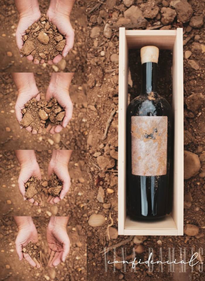 Solo 224 botellas de un verdejo criado ocho meses bajo tierra verán la luz en Viña Dammis