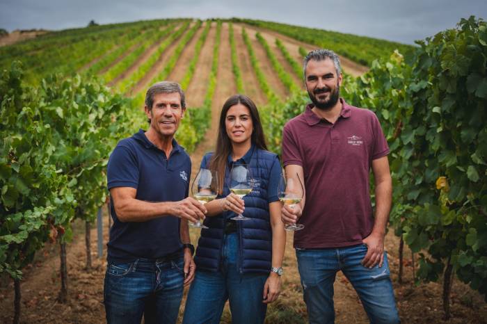 La variedad Godello supera el 10 % de la producción en Bodegas Emilio Moro tras una vendimia marcada por el clima