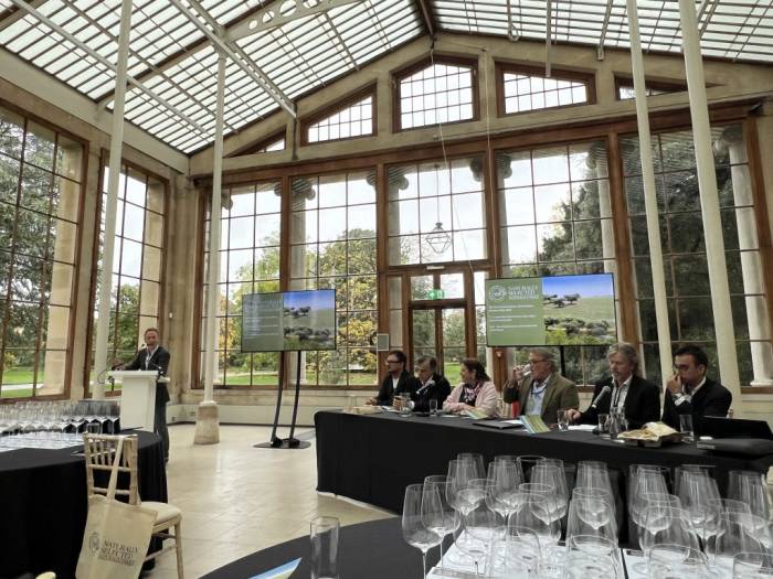 Alentejo Aims for Top Five in Global Sustainable Wine as Experts Warn of Greenwashing Risks