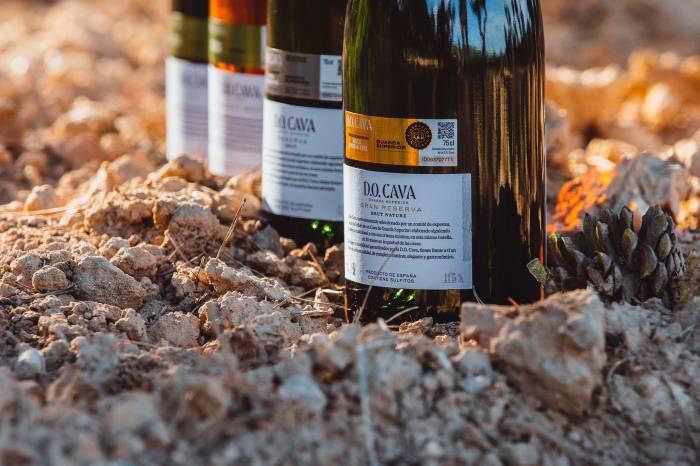El Cava Meeting crece un 35% y reunirá más de 200 referencias de Guarda Superior en el Penedès