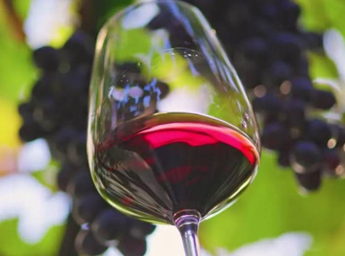 Las ventas de vino español en Estados Unidos caen un 7 % hasta julio por el adelanto de envíos y los aranceles