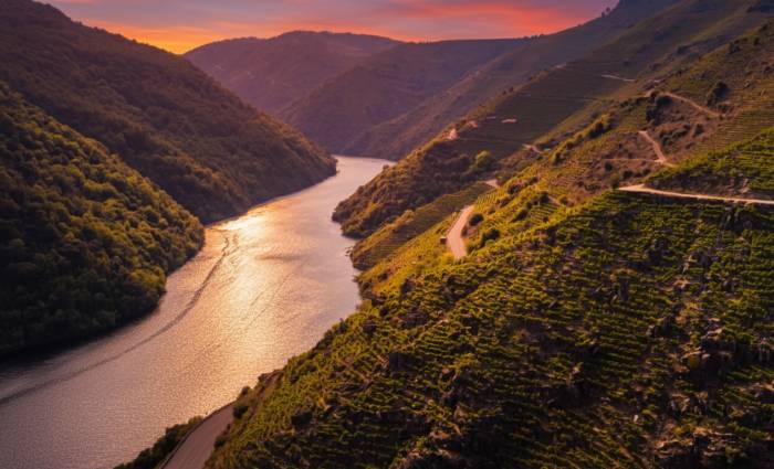 Ribeira Sacra presenta 13 vinos en Mediterránea Gastrónoma para impulsar su proyección nacional e internacional