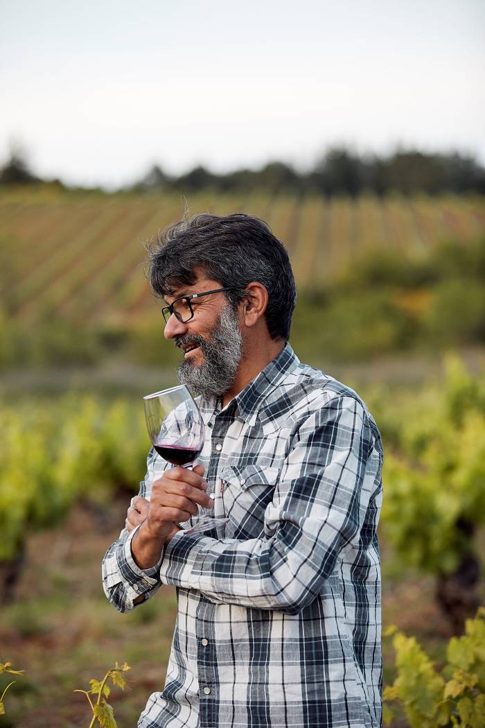 Todos los vinos de Pittacum, entre los 100 mejores del Bierzo según la guía de Tim Atkin