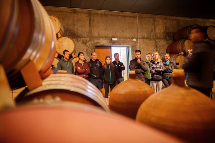 Bodega La Vinyeta tinajas