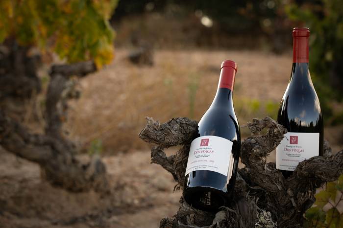 Dominio de Atauta lanza Dos Fincas 2022, una edición limitada a 4.524 botellas con 95 puntos en la Guía Peñín