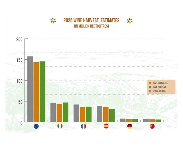 European Wine Output Rises 1% in 2025 but Remains 7.5% Below Five-Year Average