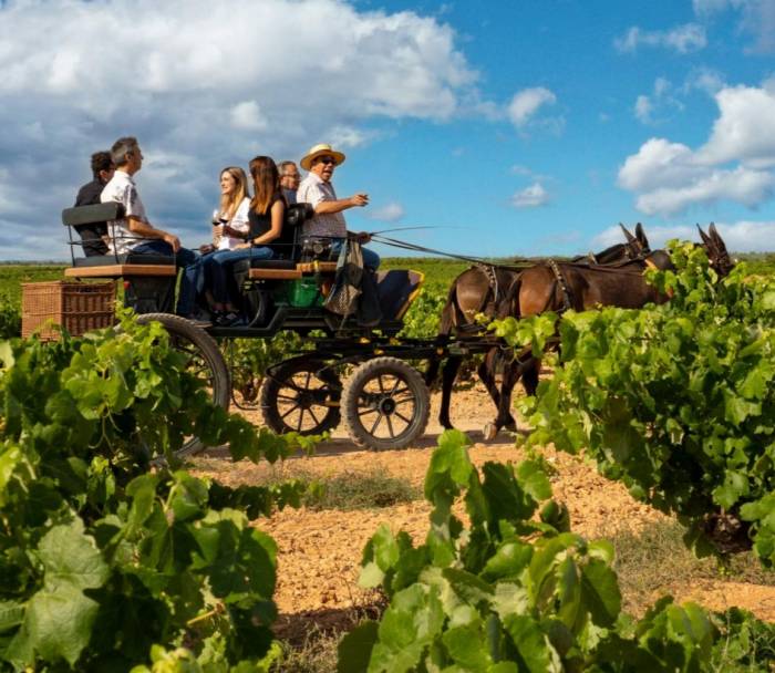 El enoturismo en España supera los tres millones de visitantes y crece un 2,22 por ciento en 2024