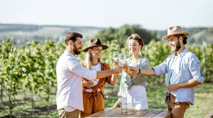 Wine Tourism Drives 25% of Global Winery Revenue as 65% Report Profitable Growth