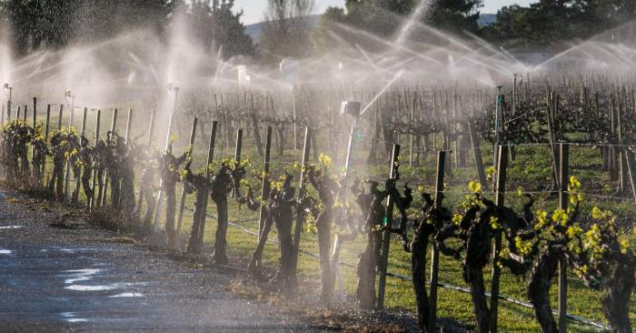 El Instituto de la Ingeniería de España reúne a expertos para debatir el futuro sostenible del regadío