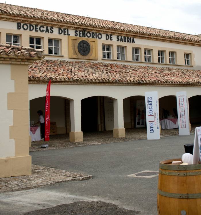El enoturismo de Navarra fusiona vino, arte y astronomía en una velada nocturna en Puente La Reina