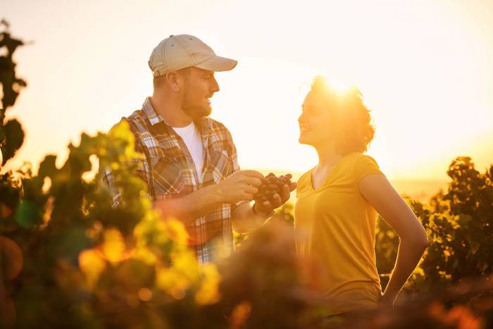 European Wine Leaders to Address Climate Change Challenges at Annual Brussels Summit