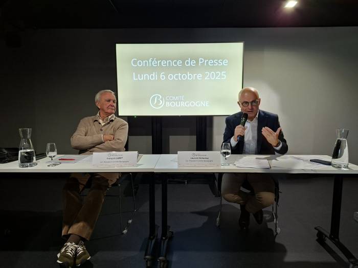 Burgundy Wine Industry Faces Low Yields and Trade Uncertainty Amid Strong Global Demand