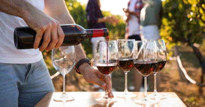 Italian Wine Exports Show Modest Growth Despite U.S. Tariffs and Shifting Global Markets