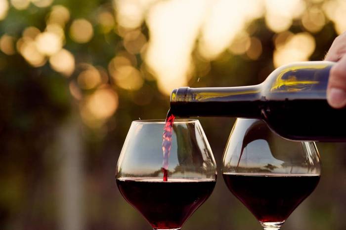 El vino argentino refuerza su presencia en Brasil y supera al Reino Unido en exportaciones