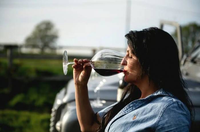 Midwest Wineries Face Declining Wine Sales as Shifting Consumer Habits Reshape Industry