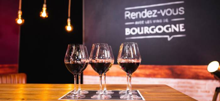 Bourgogne Wine Board Secures Major Funding for Climate and Disease Resilience Initiatives