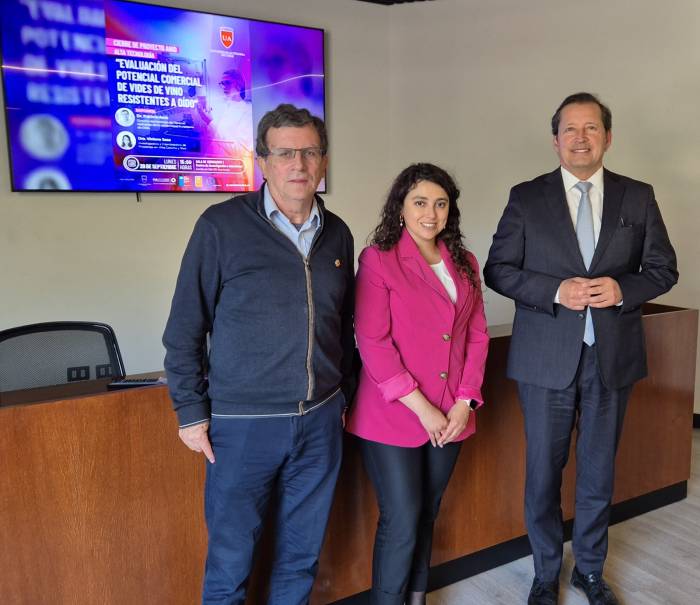 Vides resistentes al oídio abren paso a vinos más limpios y sostenibles en Chile