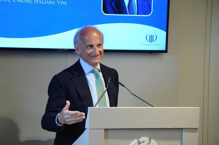 Italian Wine Industry Seeks Stronger Global Presence Amid Economic Pressures