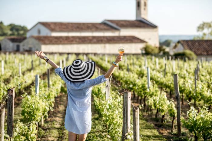 Wine Tourism Drives Economic Growth in France as International Visitors Surge