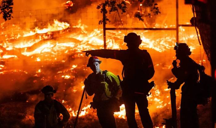 Pickett Fire devastates Napa Valley vineyards and disrupts wine industry during record heat and drought