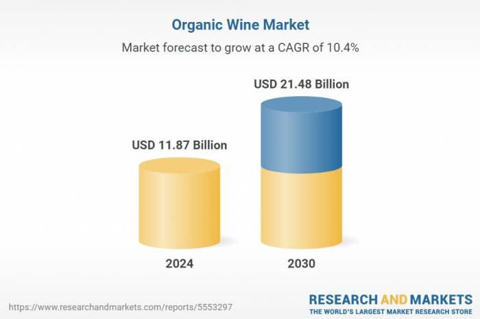Global Organic Wine Market Set to Surpass $21 Billion by 2030 Amid Rising Demand for Sustainability