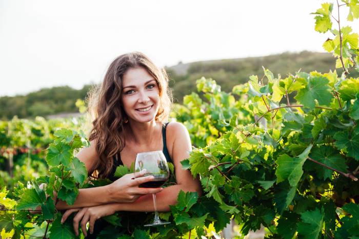 French Wine Tourism Reaches Record 12 Million Visitors as International Interest Surges