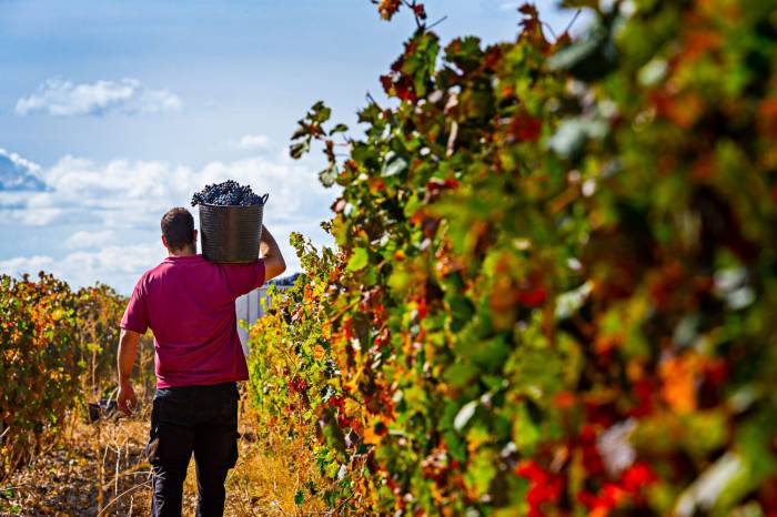 España expresa inquietud por la financiación de la PAC tras la propuesta presupuestaria europea